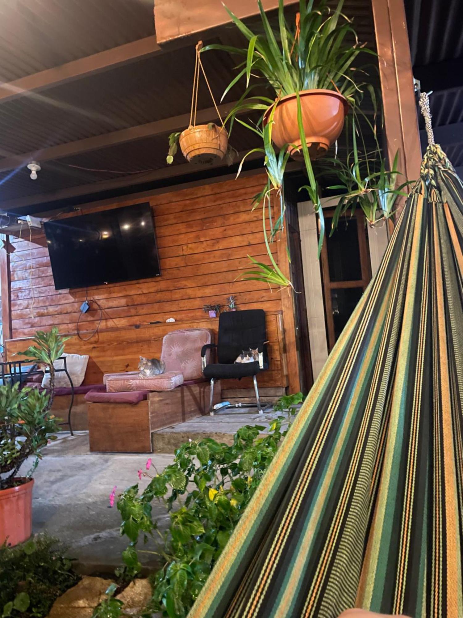 Hostal Vista Boquete Bajo Boquete Ngoại thất bức ảnh