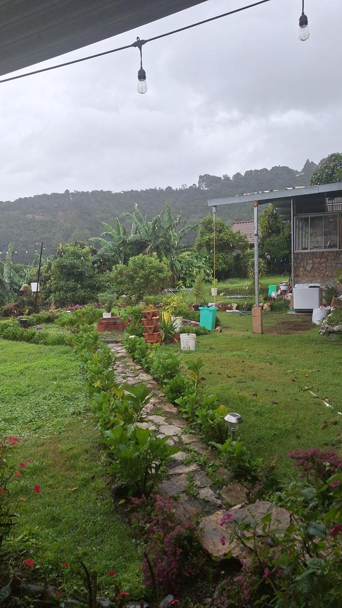 Hostal Vista Boquete Bajo Boquete Ngoại thất bức ảnh