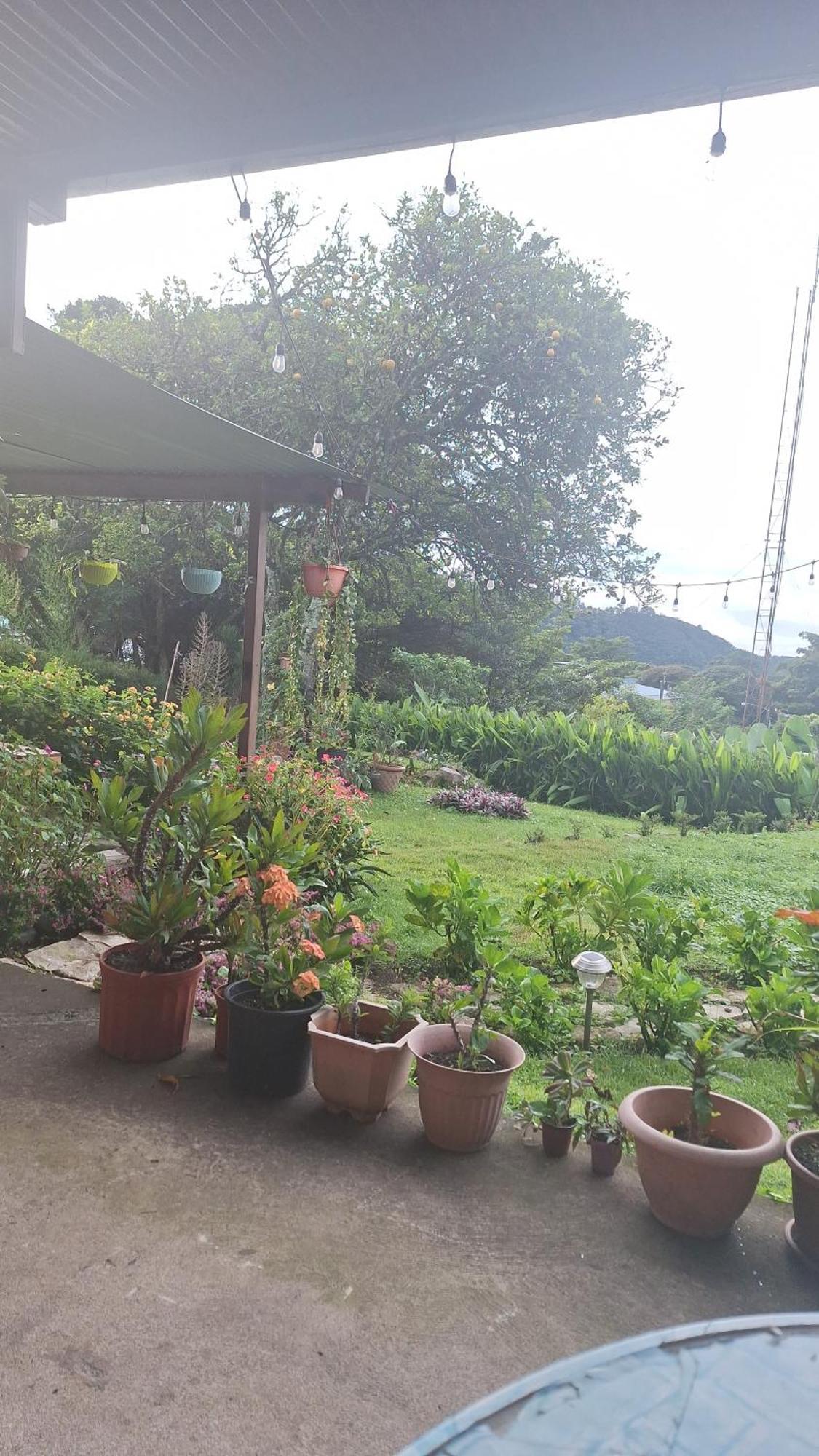 Hostal Vista Boquete Bajo Boquete Ngoại thất bức ảnh