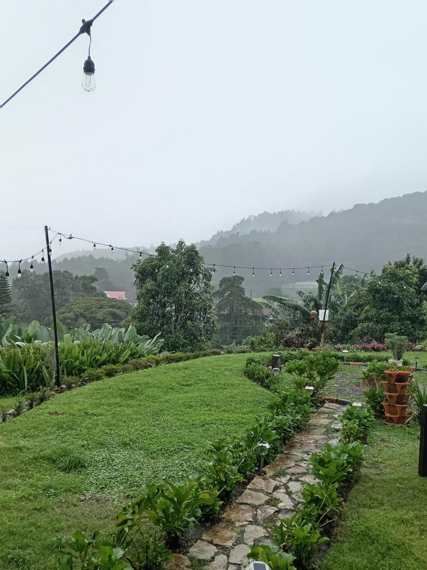 Hostal Vista Boquete Bajo Boquete Ngoại thất bức ảnh