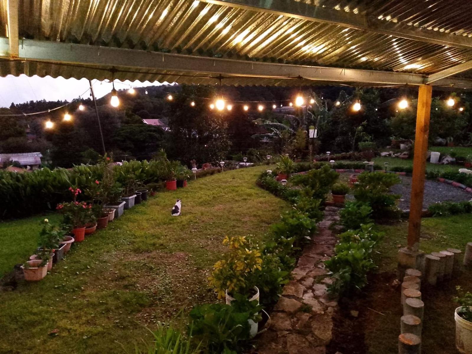 Hostal Vista Boquete Bajo Boquete Ngoại thất bức ảnh
