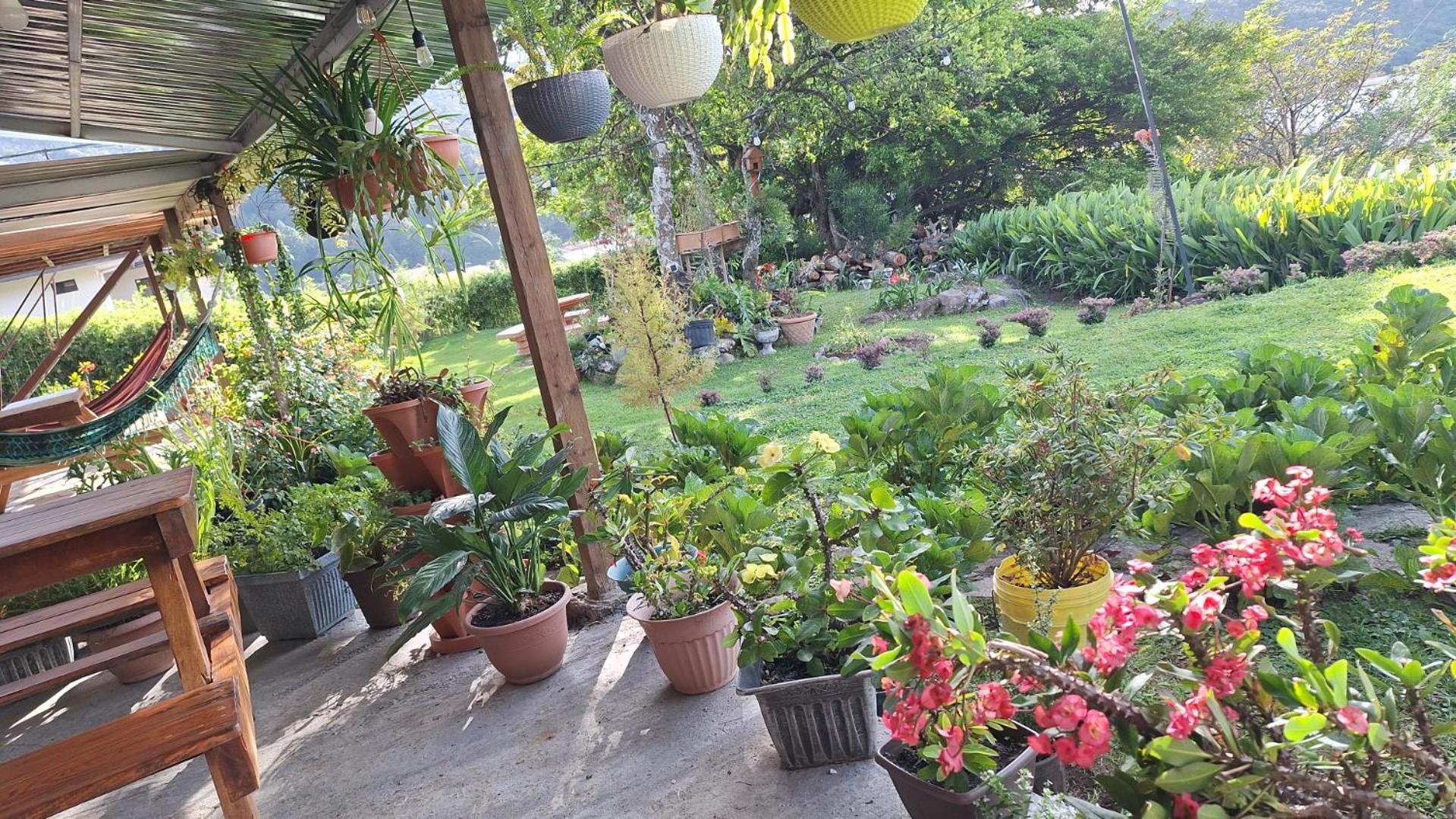 Hostal Vista Boquete Bajo Boquete Ngoại thất bức ảnh