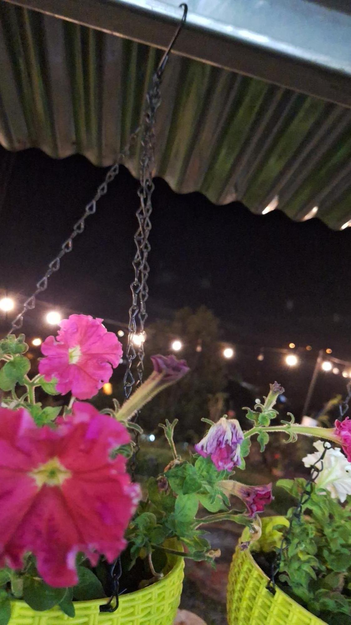 Hostal Vista Boquete Bajo Boquete Ngoại thất bức ảnh