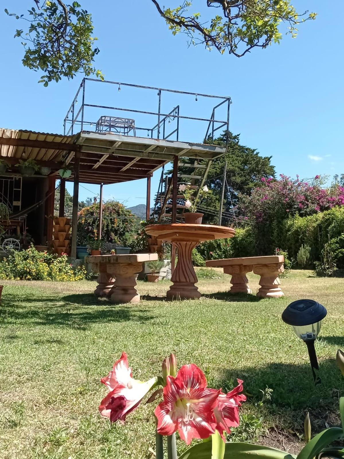 Hostal Vista Boquete Bajo Boquete Ngoại thất bức ảnh
