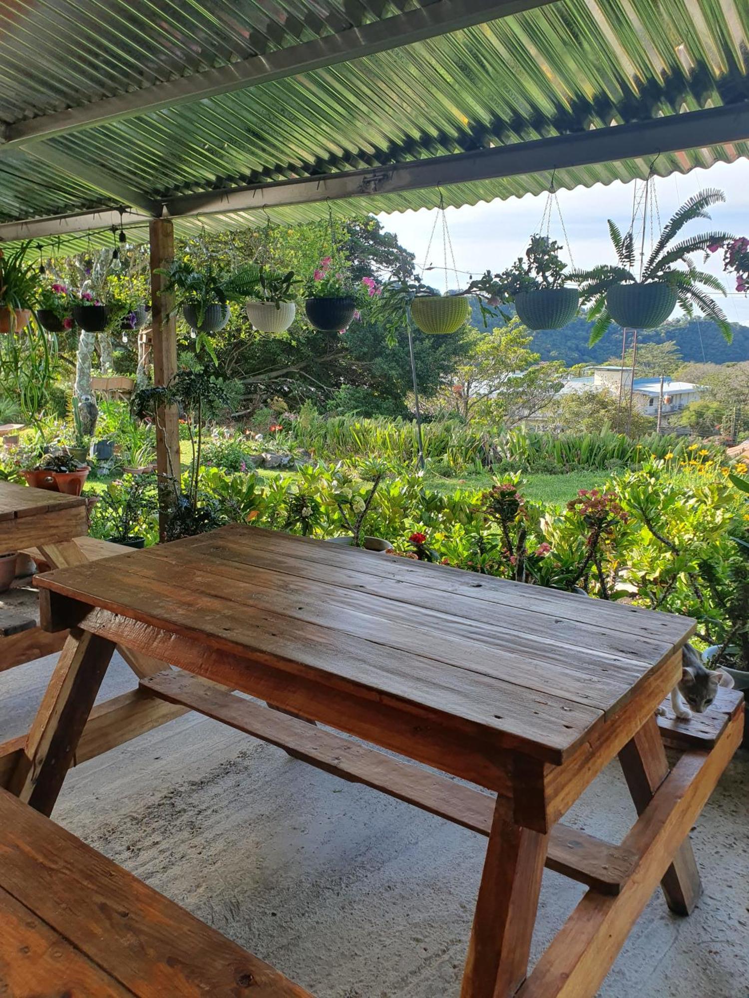Hostal Vista Boquete Bajo Boquete Ngoại thất bức ảnh