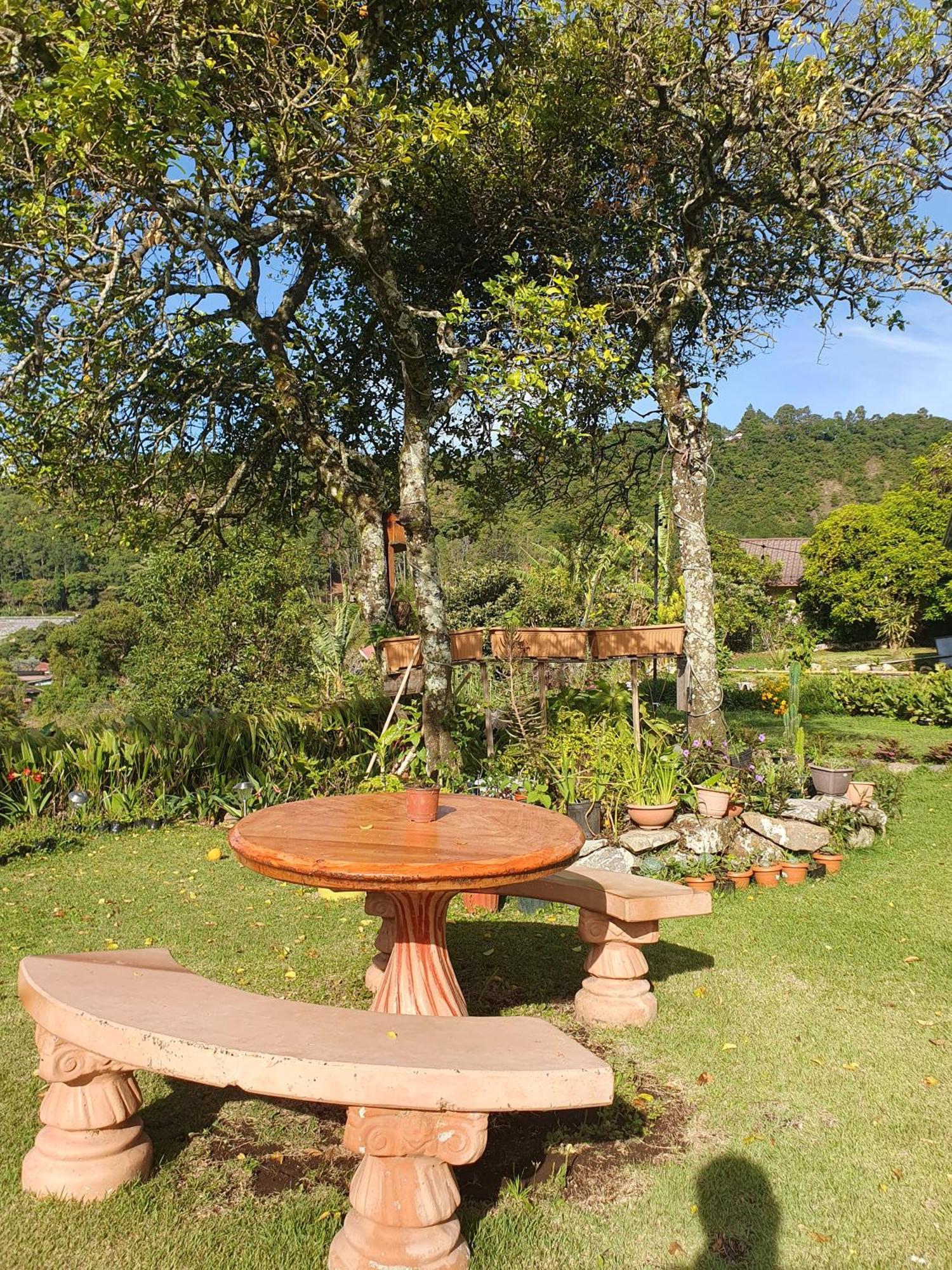 Hostal Vista Boquete Bajo Boquete Ngoại thất bức ảnh