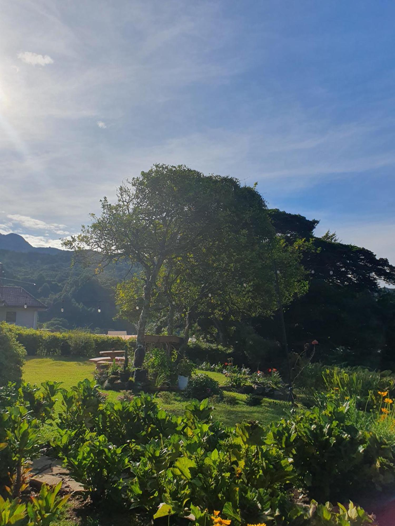 Hostal Vista Boquete Bajo Boquete Ngoại thất bức ảnh